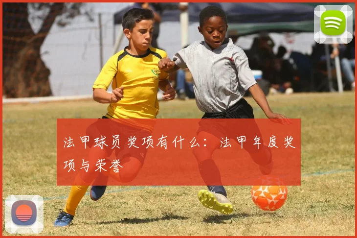 法甲球员奖项有什么：法甲年度奖项与荣誉