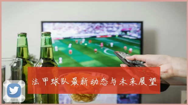 法甲球队最新动态与未来展望