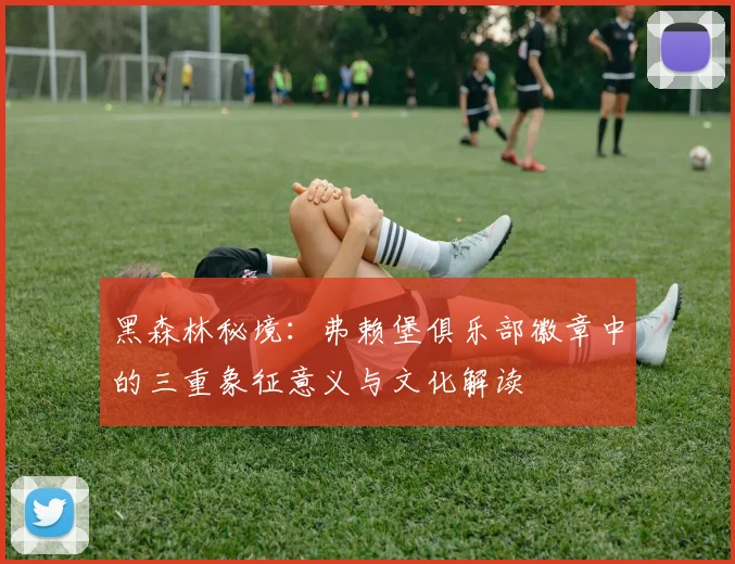 黑森林秘境：弗赖堡俱乐部徽章中的三重象征意义与文化解读